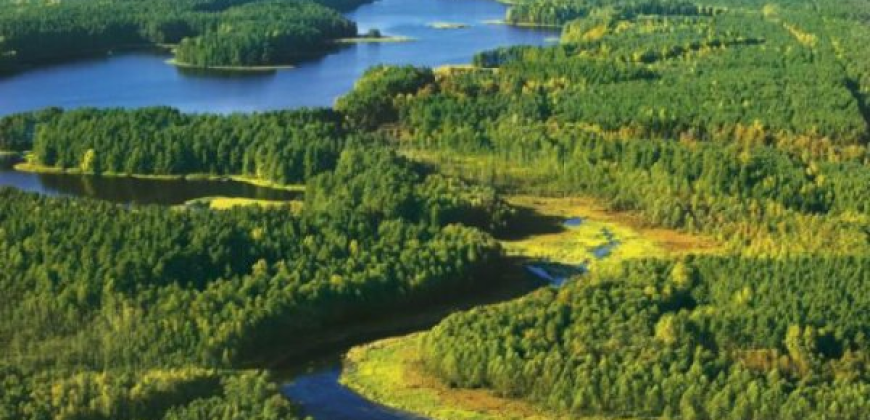 Działki i domy w pięknych miejscach w Polsce. Mazury , Kujawsko-Pomorskie, Mazowieckie, Wielkopolska , Dolny Śląsk