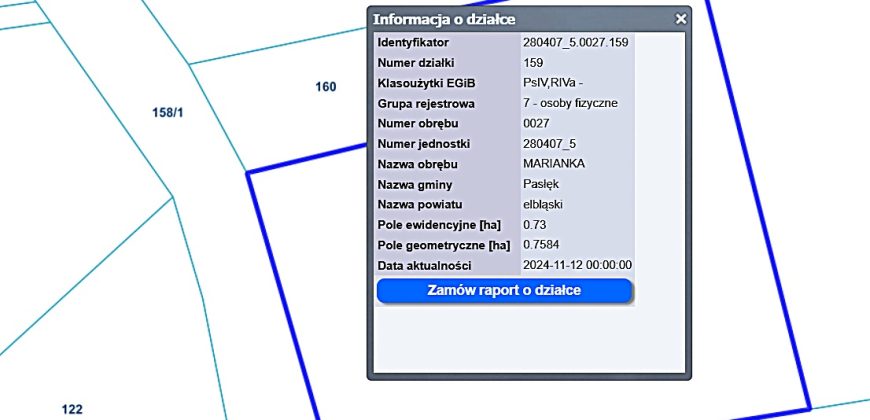 PASŁĘK – MARIANKA. Grunt 7300m2 objęty MPZP.